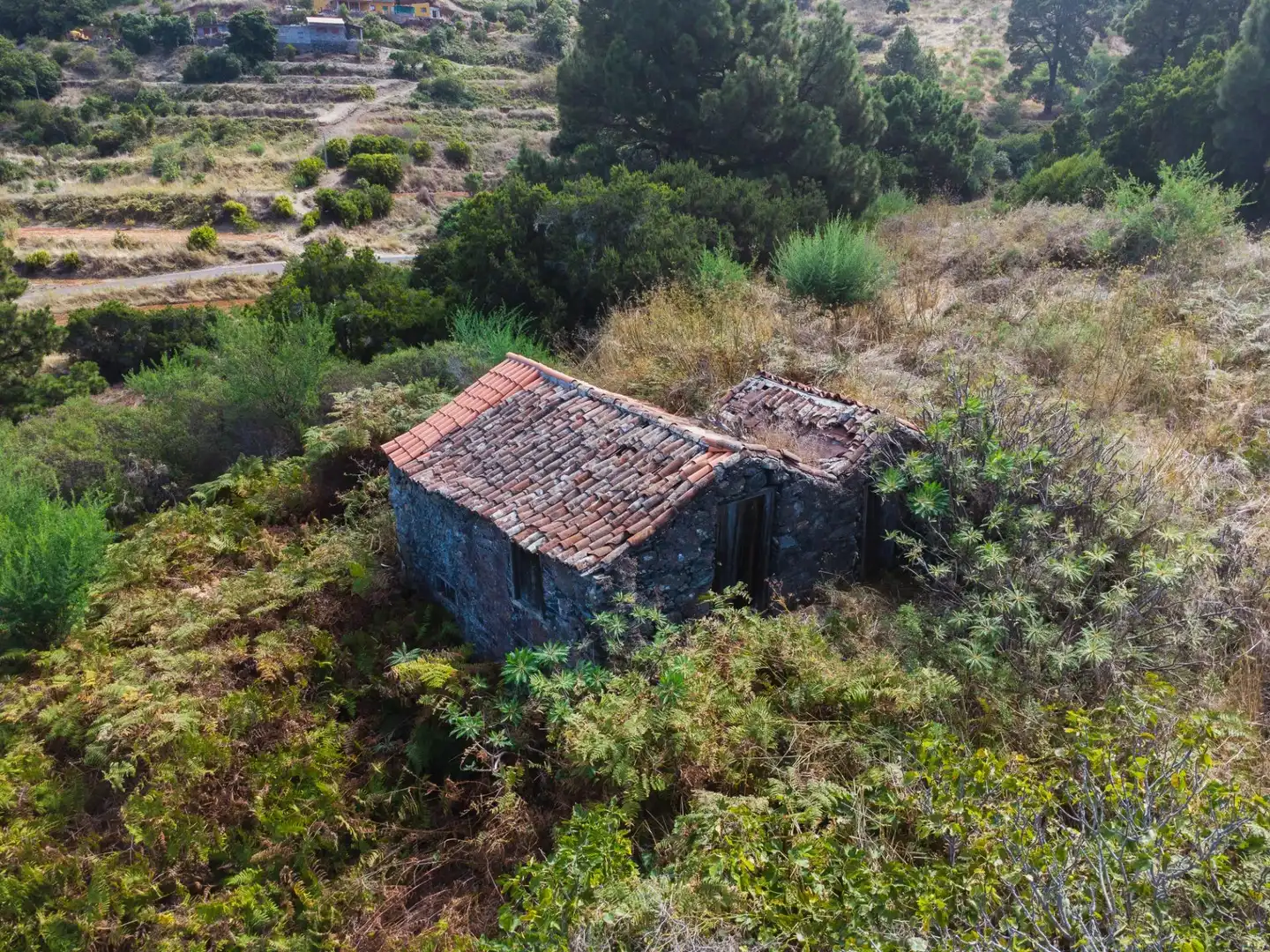 Terreny rústic en venda a Polígono 58 Parcela 59 (ABRES. GARAFIA), imagen 8