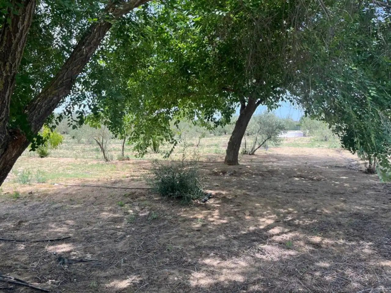 Wohnbaugrundstück zum Verkauf in Morón de la Frontera, imagen 6