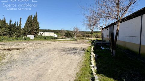 Foto 2 de Finca rústica en venda a Pilas, Sevilla
