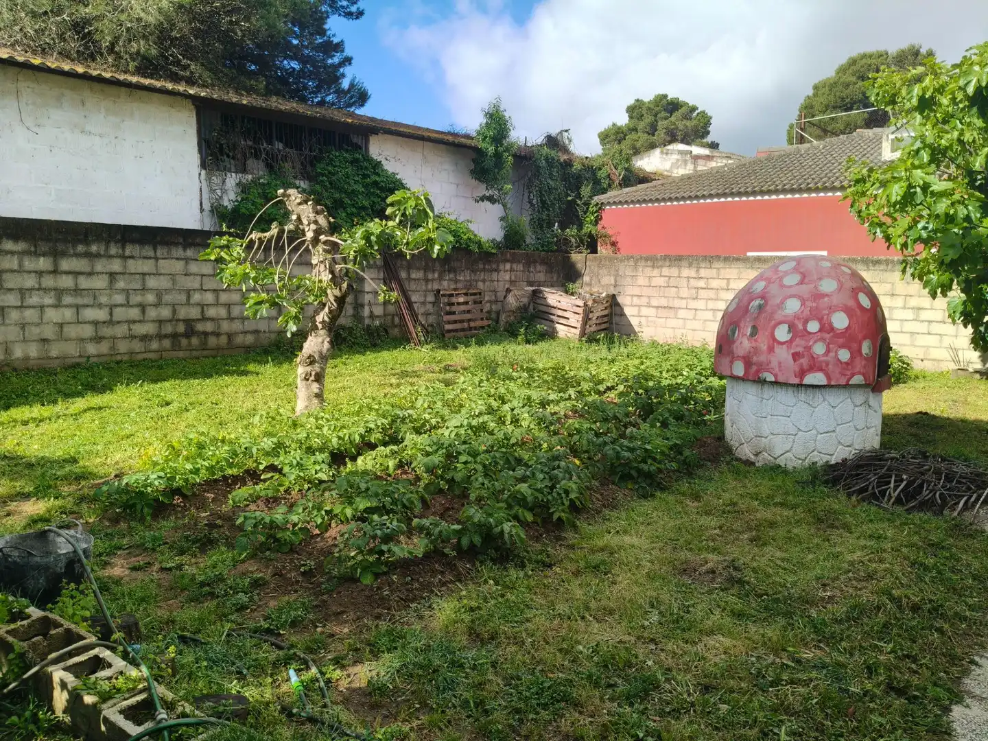 Garden of Houses for sale in Chiclana de la Frontera  with Air Conditioner, Swimming Pool and Alarm
