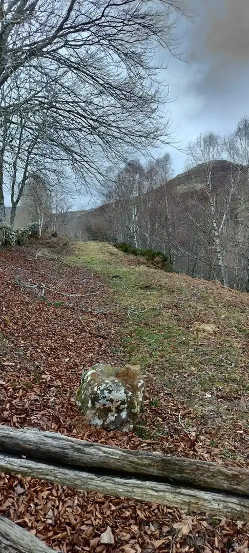 Finca rústica en venda en Espinosa de los Monteros amb Jardí privat