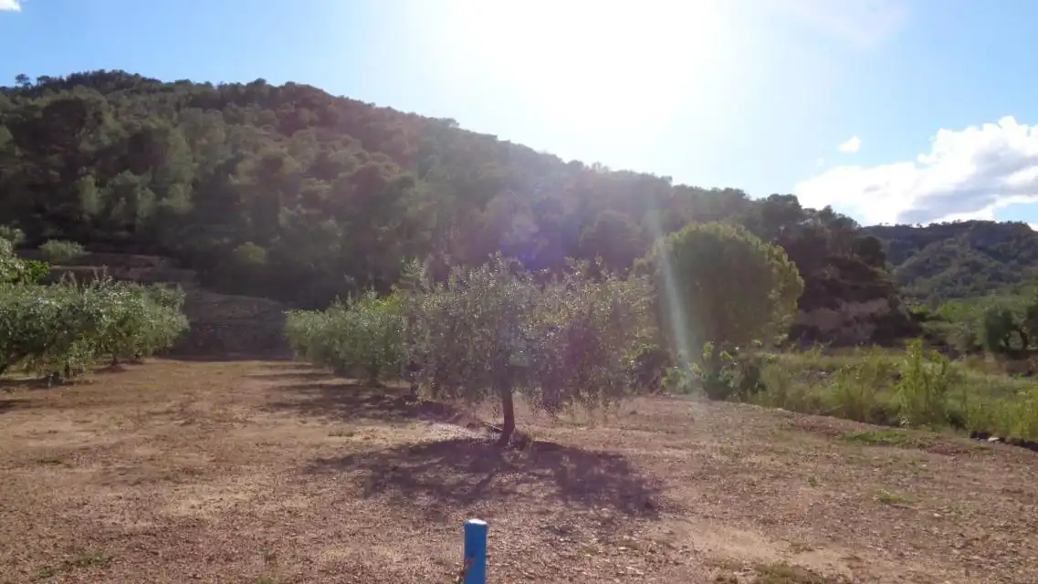 Terreno rustico in vendita a PESOLS, imagen 6