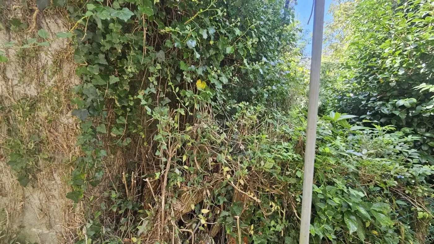 House for sale in Rúa dos Chouchiños 32, imagen 11