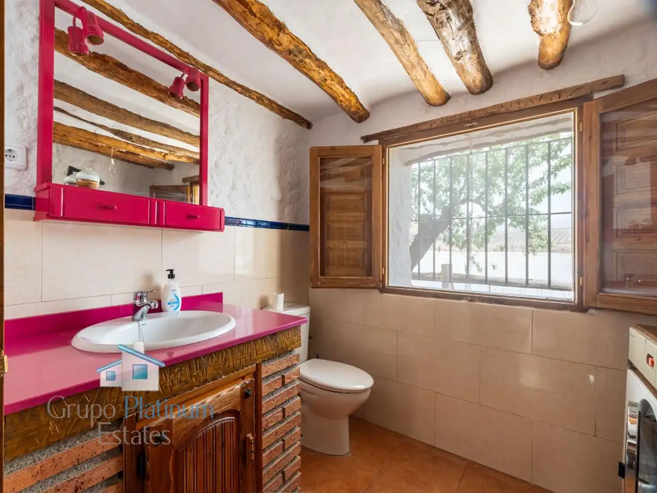 Baño de Casa o chalet en venta en Huéneja con Jardín privado, Trastero y Piscina