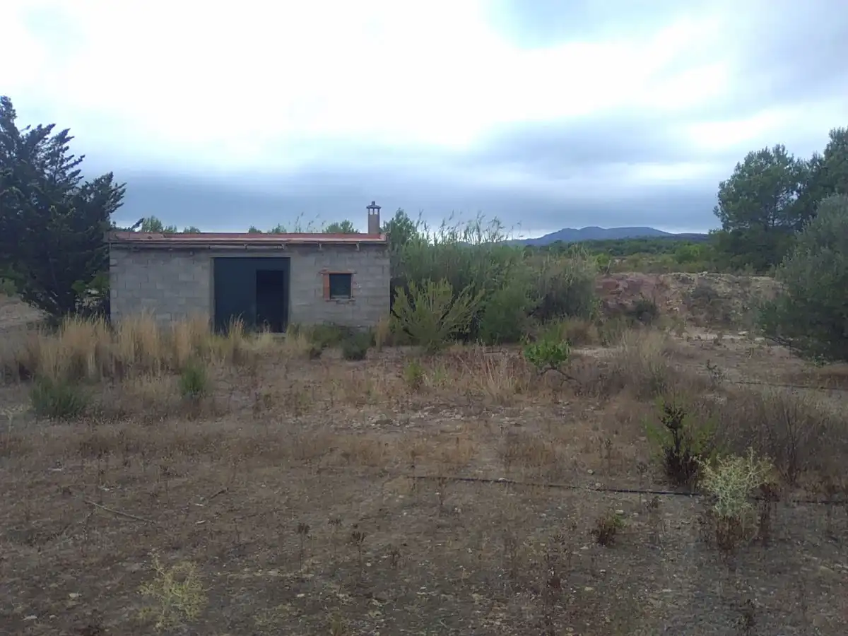 Casa rústica en venta en Algímia de Alfara, imagen 9