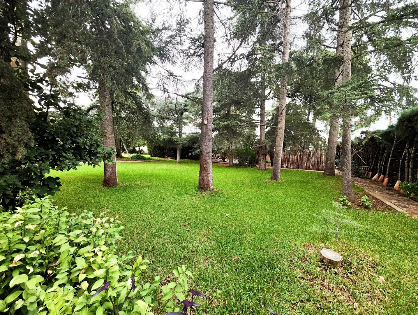 Garden of Houses for sale in Puertollano  with Air Conditioner, Heating and Private garden