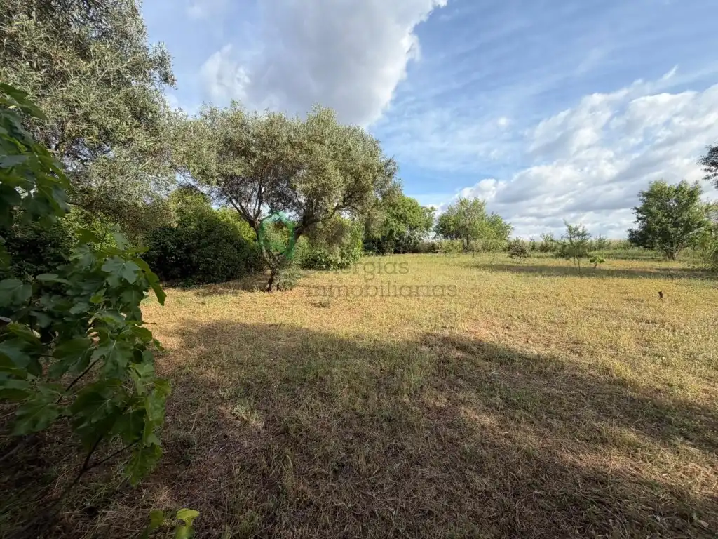 Casa o xalet en venda en Badajoz amb Aire condicionat, Jardí privat i Piscina