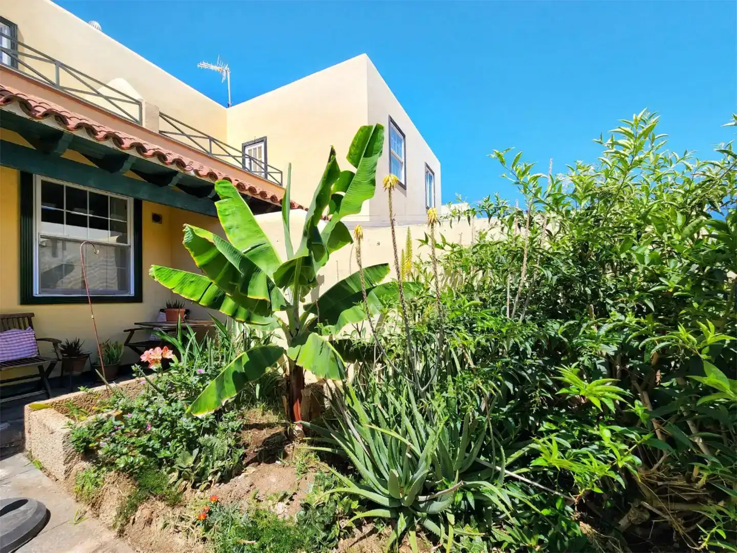 Vista exterior de Piso en venta en Arona con Jardín privado, Trastero y Amueblado
