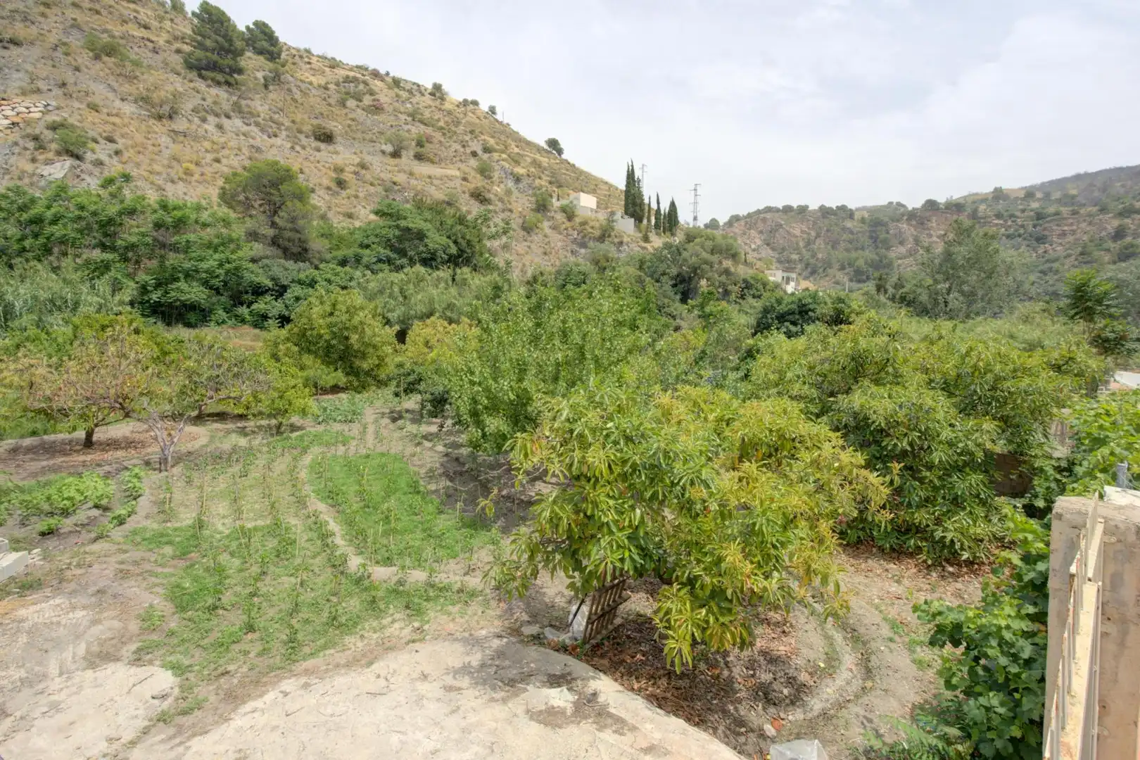 Terreno rustico in vendita a de Sierra Nevada Costa Tropical