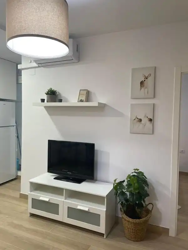 Sala de estar de Planta baja de alquiler en Sevilla con Aire acondicionado, Calefacción y Amueblado