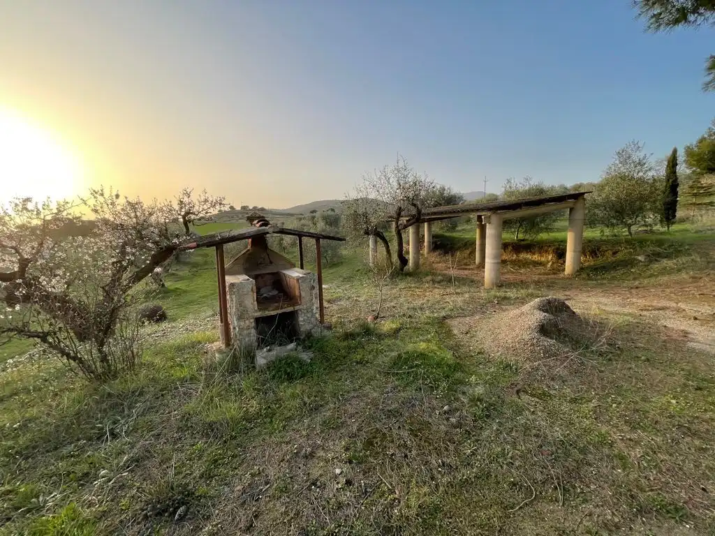 Rural land for sale in Balaguer, imagen 3