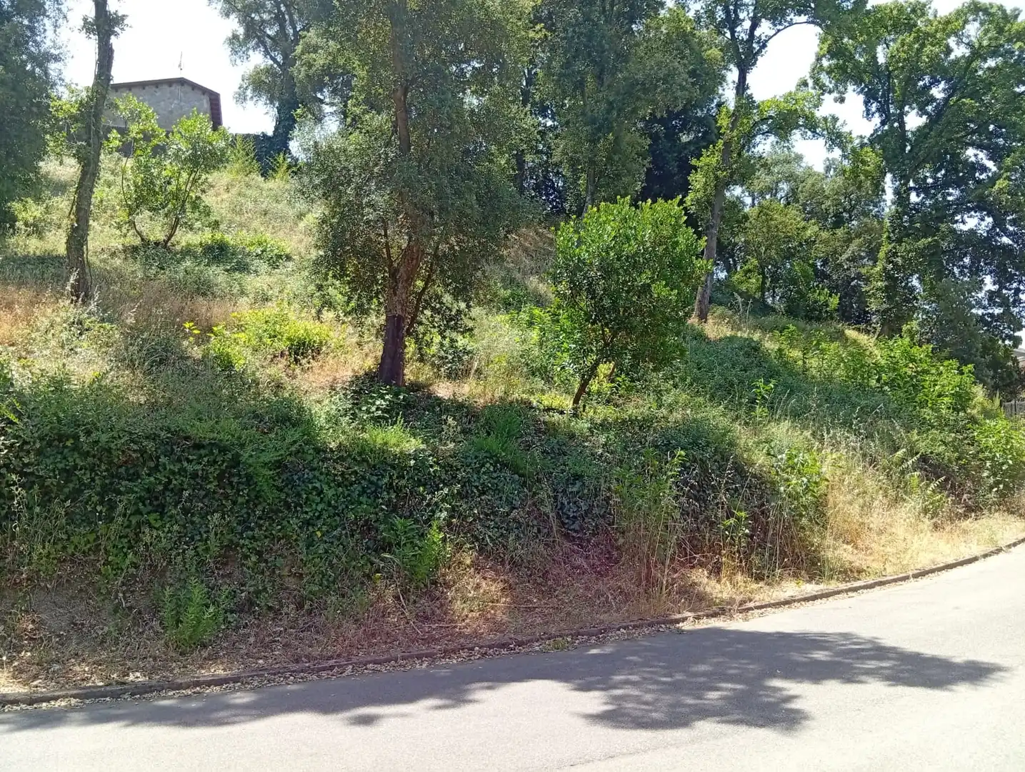 Residential for sale in Vallgorguina