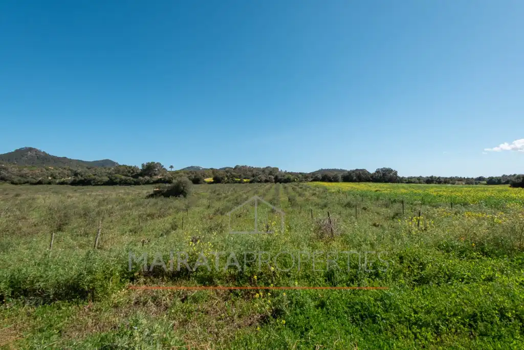 Finca rústica en venda en Felanitx amb Aire condicionat, Jardí privat i Terrassa
