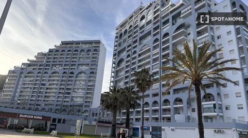 Photo 2 of Apartment to share