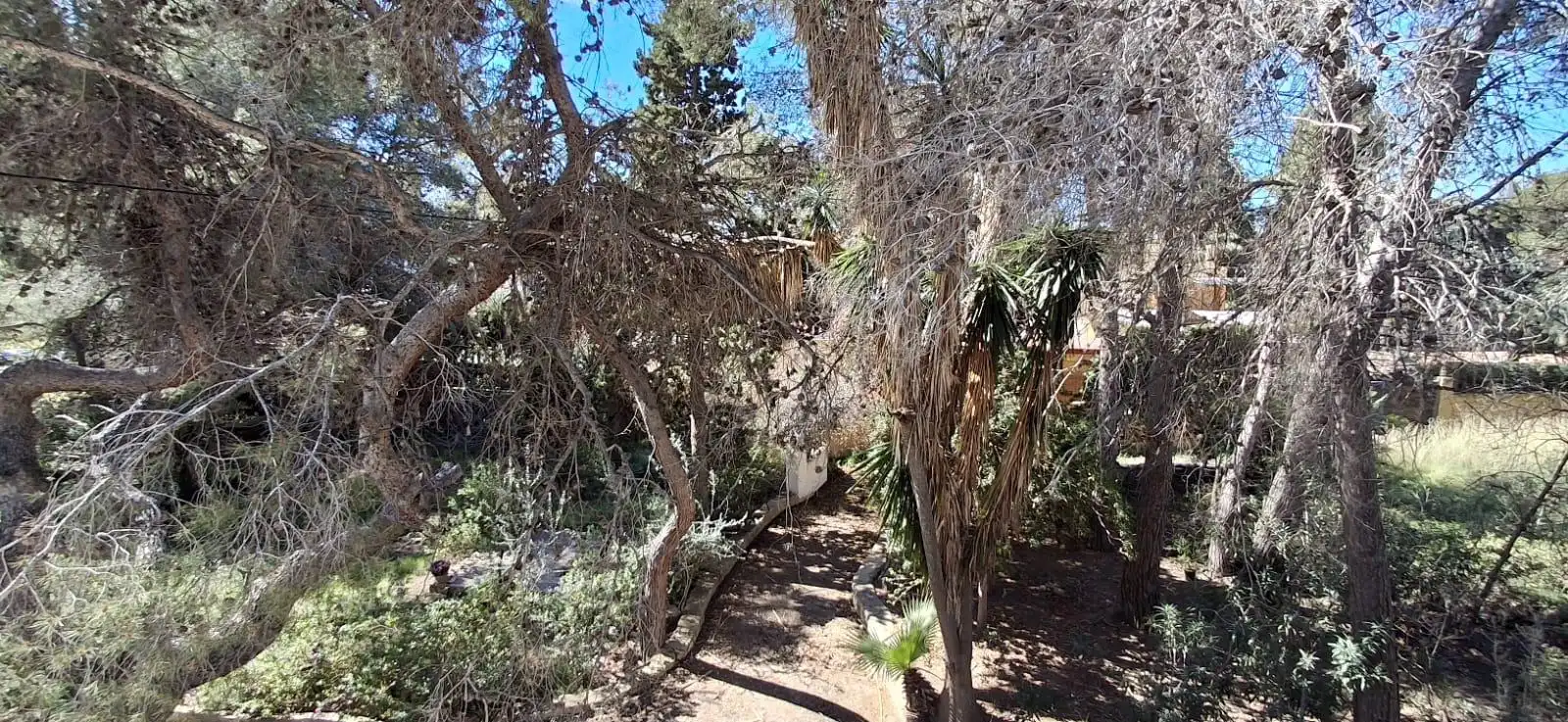 Country homes for sale in Benidorm  with Private garden, Terrace and Storage room