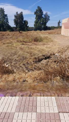 Terreno residencial en Venta en Almonte ciudad