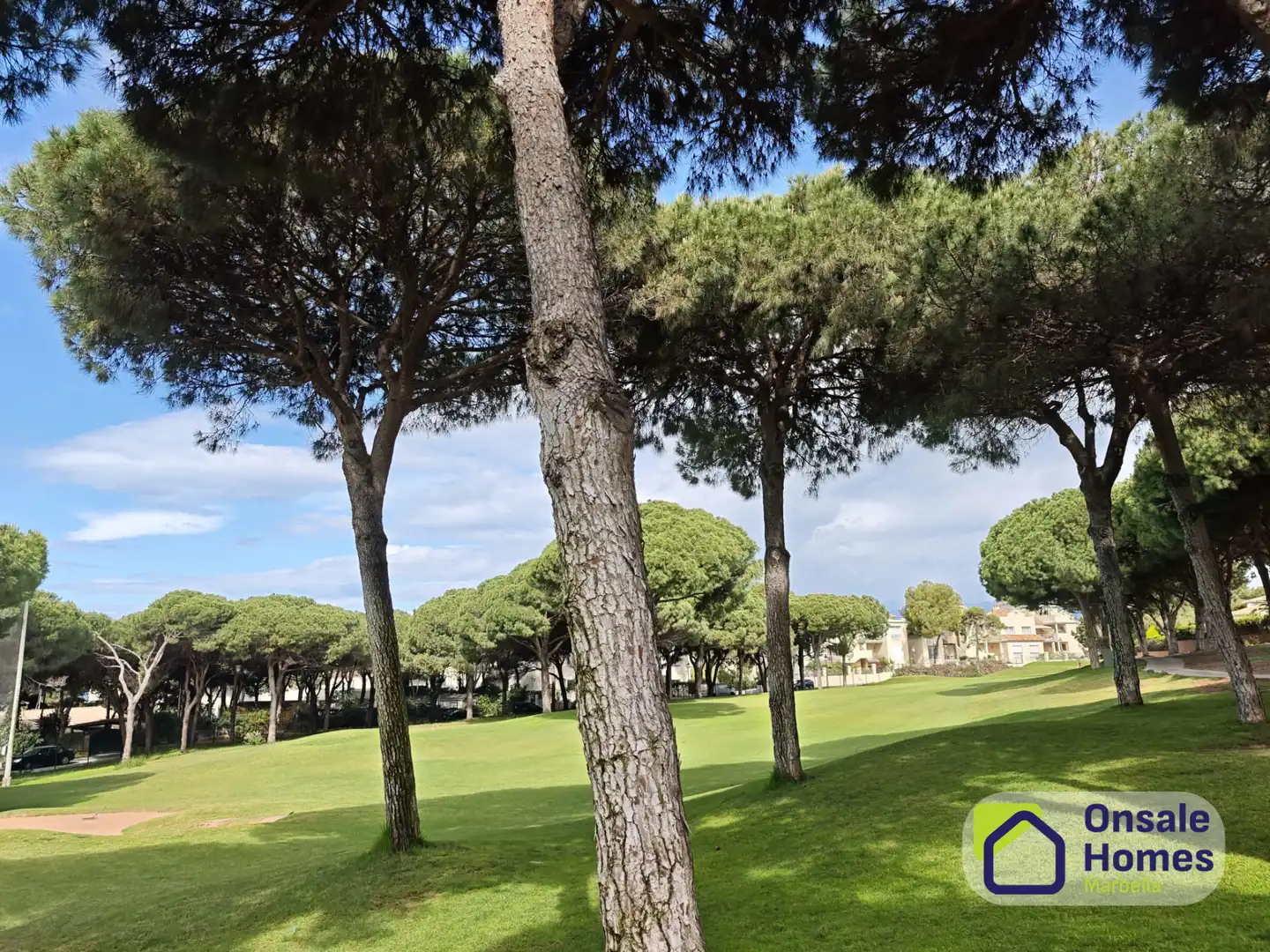 Jardí de Casa o xalet en venda en Marbella amb Jardí privat