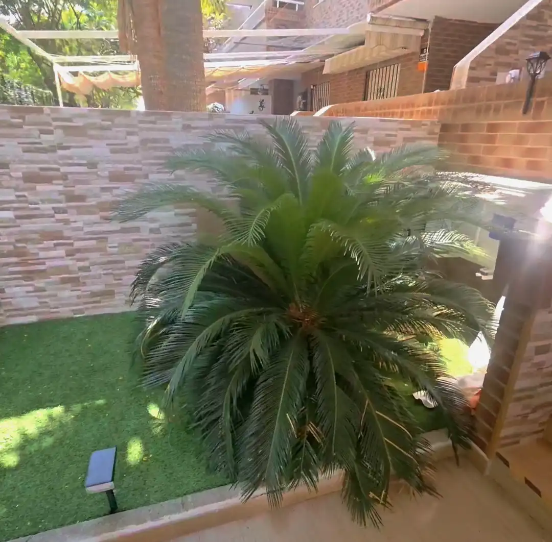 Apartment with pool for sale in Marina d'Or, imagen 2