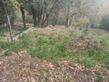 Lands and plots for sale in Riells i Viabrea