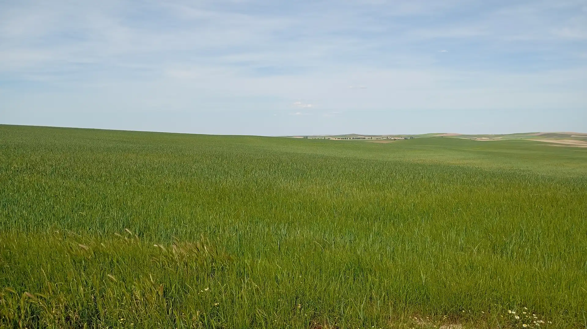 Land for sale in Calle Iglesia, Cantaracillo