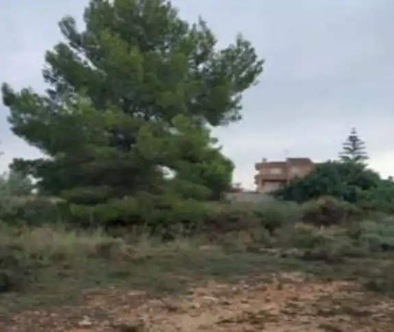 Terrain rustique à vendre à Vallada, imagen 2