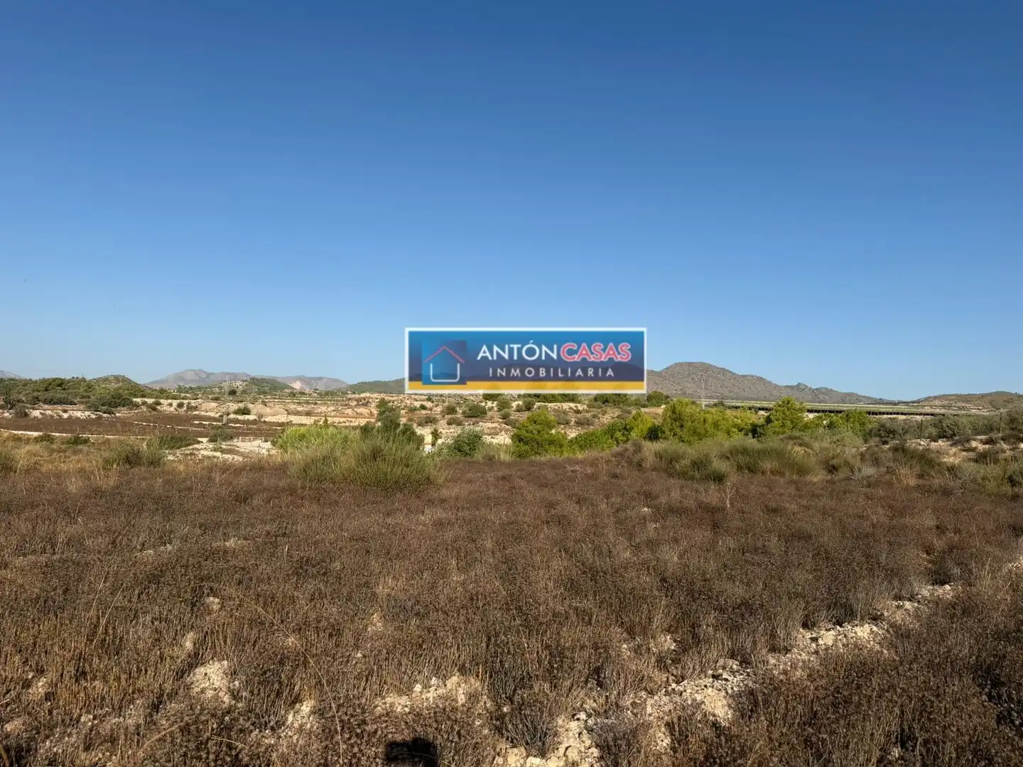 Rural land for sale in Novelda, imagen 12