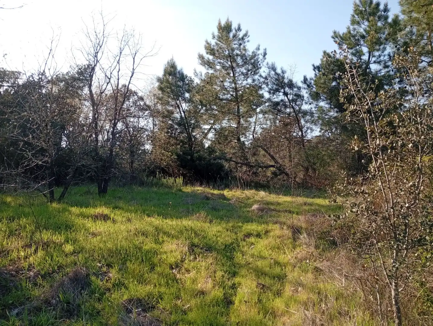 Terreni e lotti in vendita a Villanueva de la Vera, imagen 52