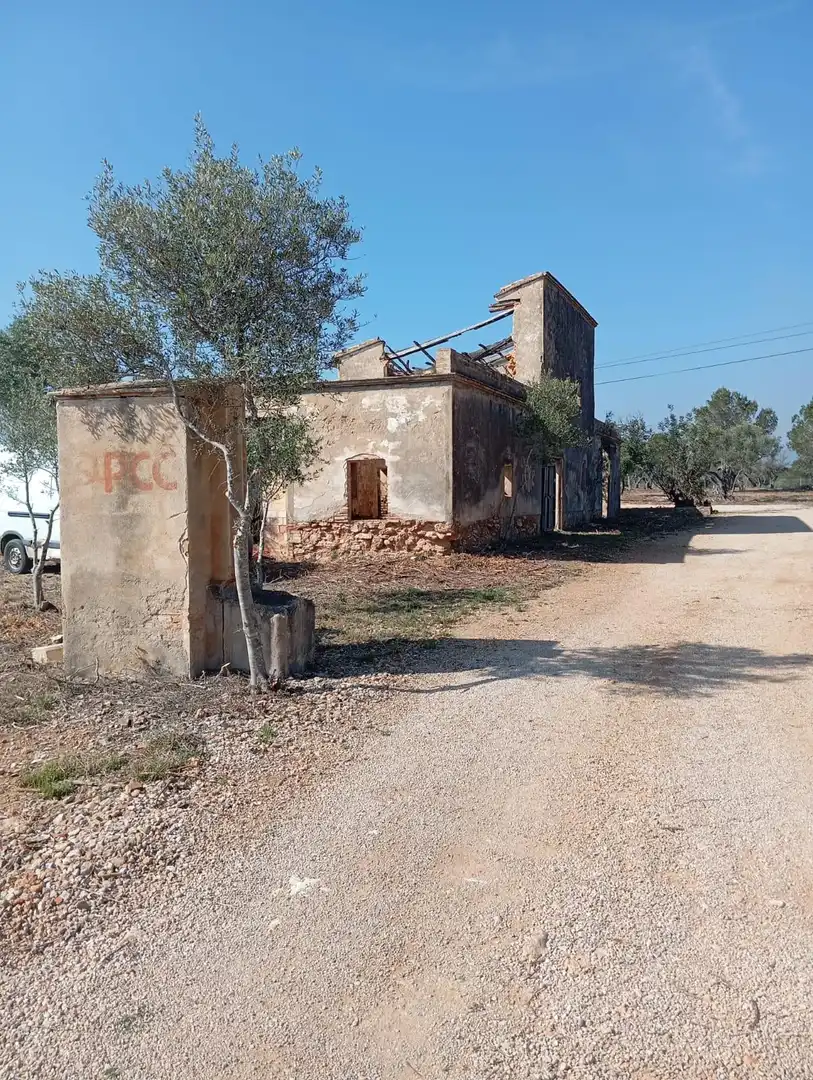 Vista exterior de Finca rústica en venta en L'Ampolla
