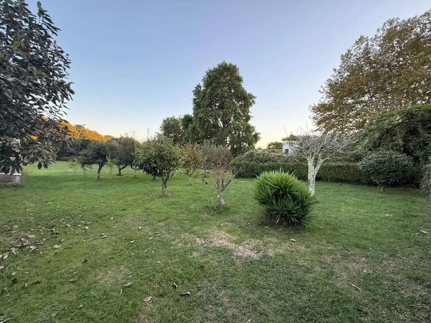 Casa o chalet en venta en Sada (A Coruña), A Coruña