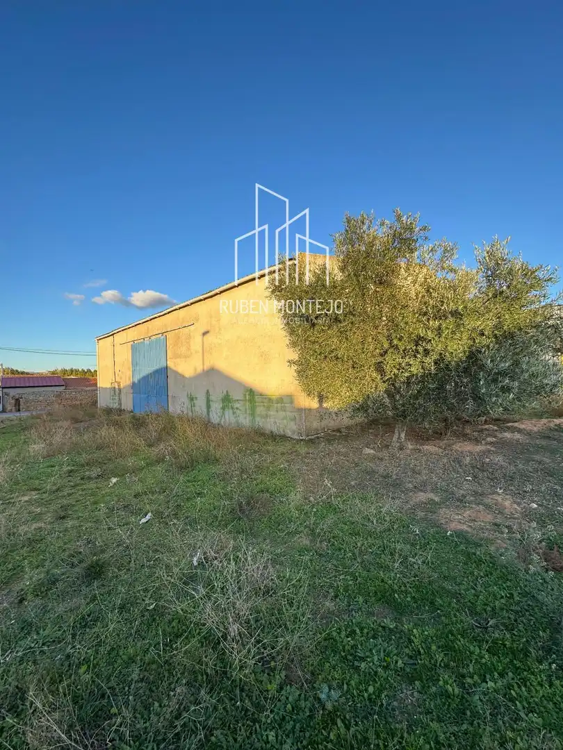 Land for sale in Espino de la Orbada