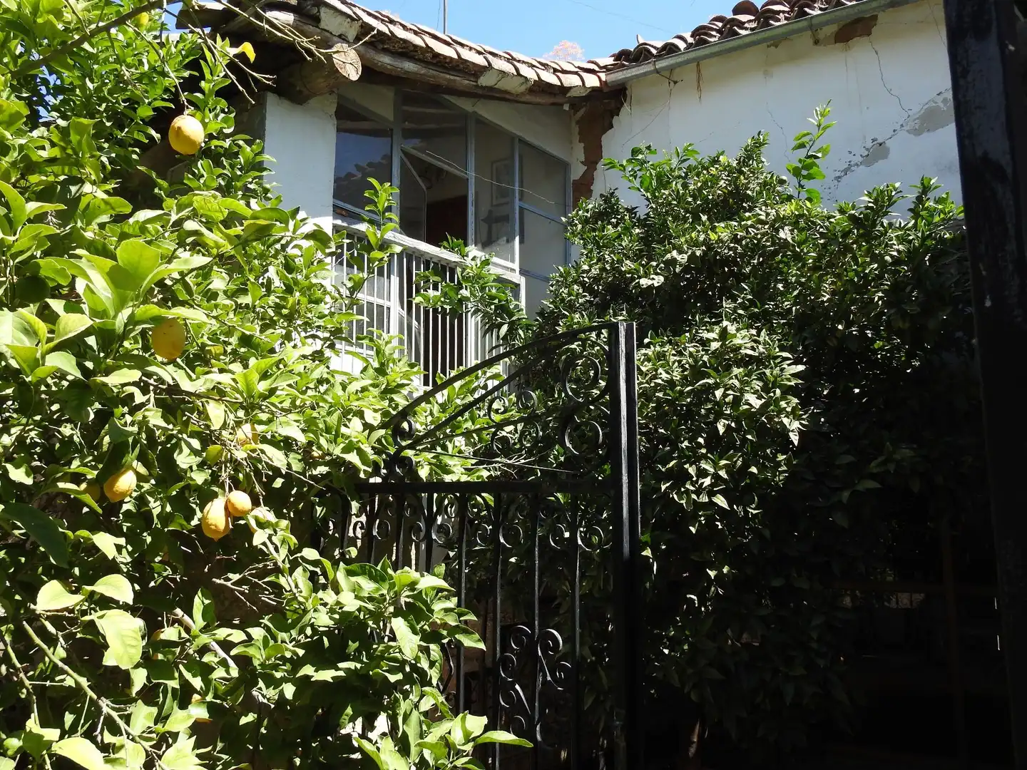 Garden of Country homes for sale in Valdeverdeja