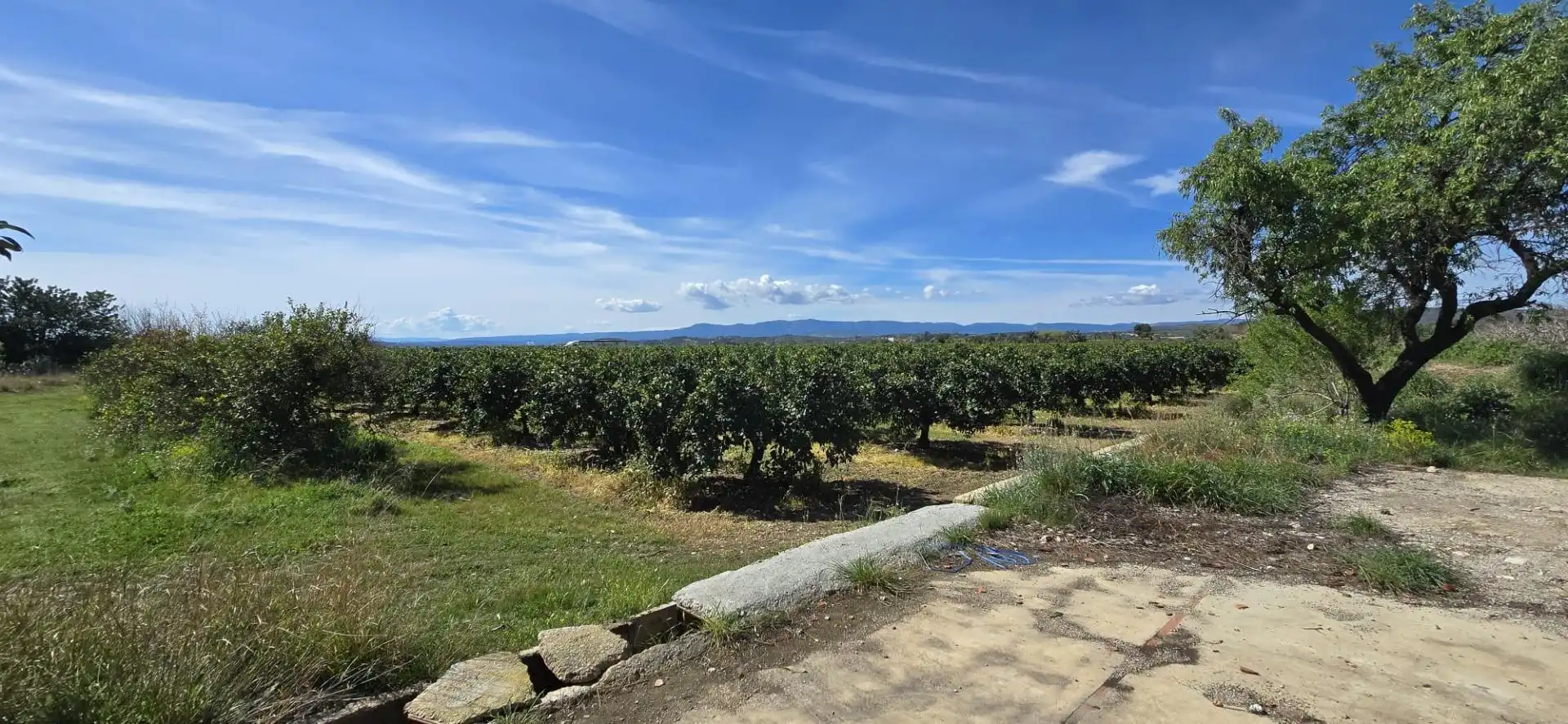 Terrain rustique à vendre à Santa Bárbara, imagen 4