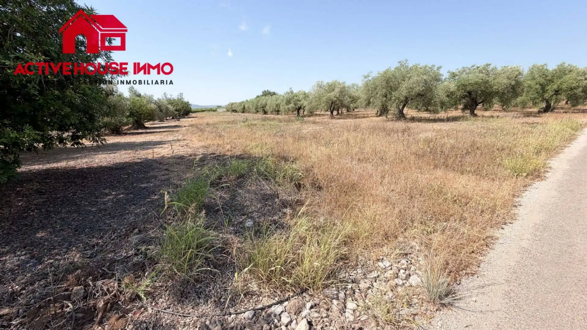 Rustikales Grundstück zum Verkauf in Cami del Romere, imagen 4