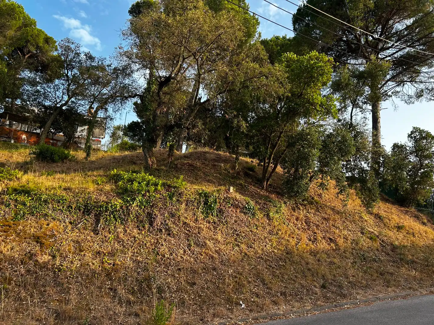Terreno residencial en venta en Mas Mora - Sant Daniel, imagen 9