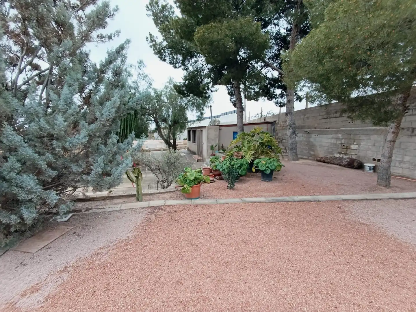 Jardí de Casa o xalet en venda en Elche / Elx amb Jardí privat, Terrassa i Traster