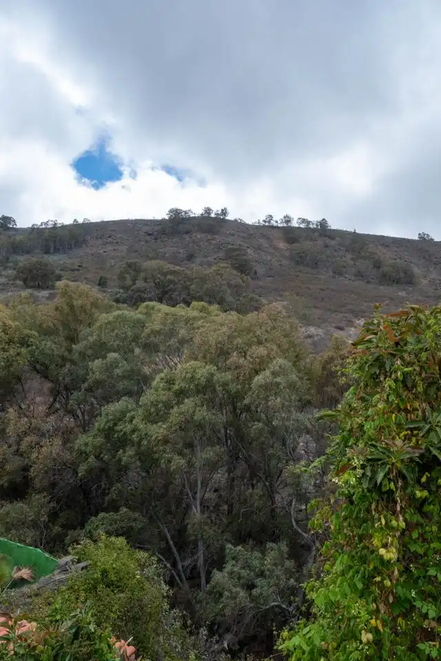 Vista exterior de Casa o xalet en venda en Arucas amb Terrassa