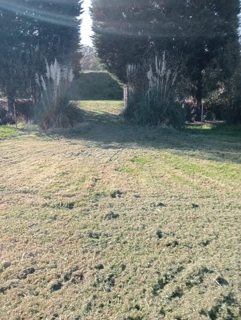 Terreni e lotti in vendita a Camiño Forxán, imagen 4
