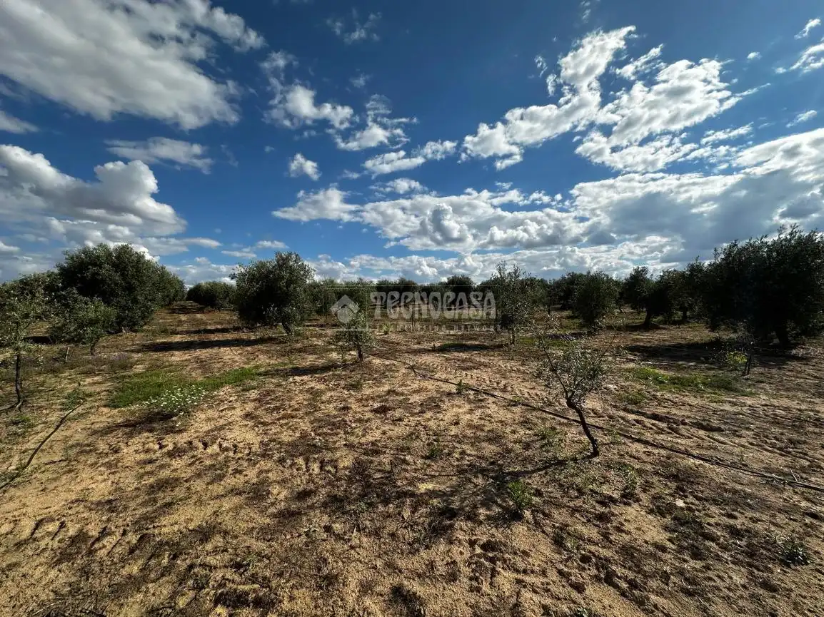 Land for sale in Guareña