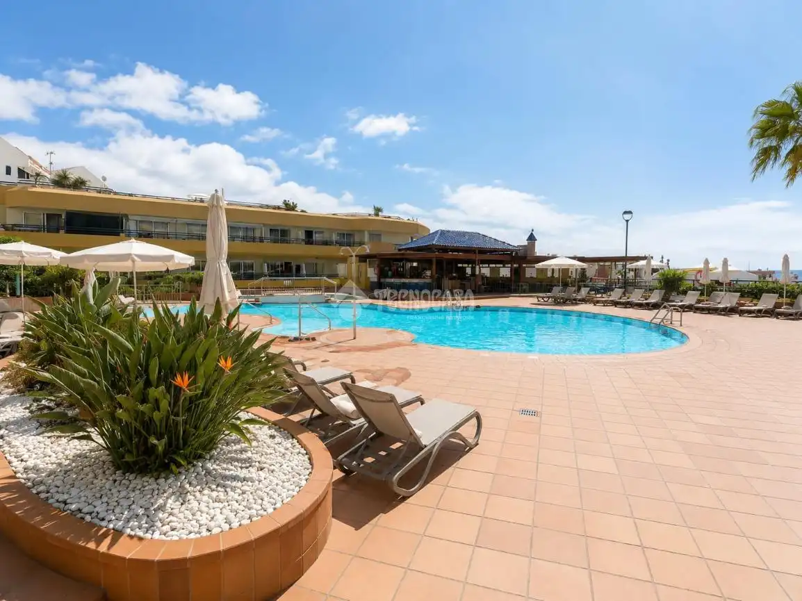 Swimming pool of Study for sale in Adeje  with Balcony