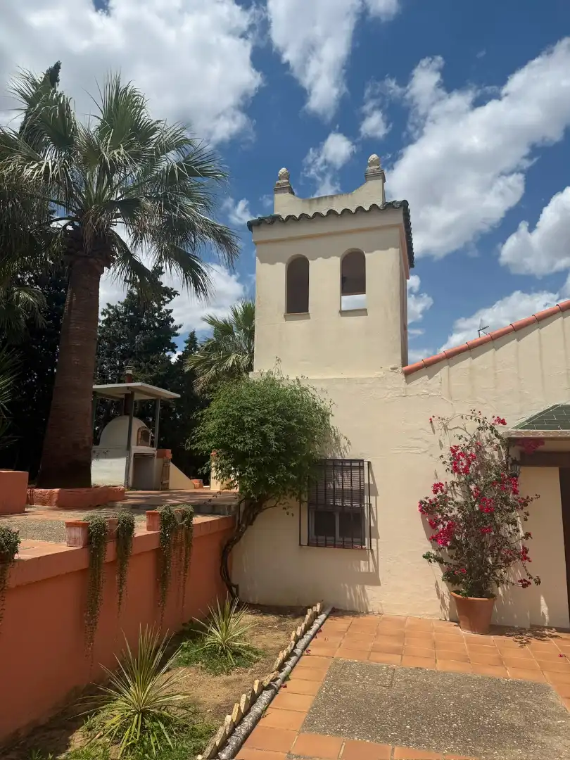 Chalet con piscina en venta en Carretera Olivares