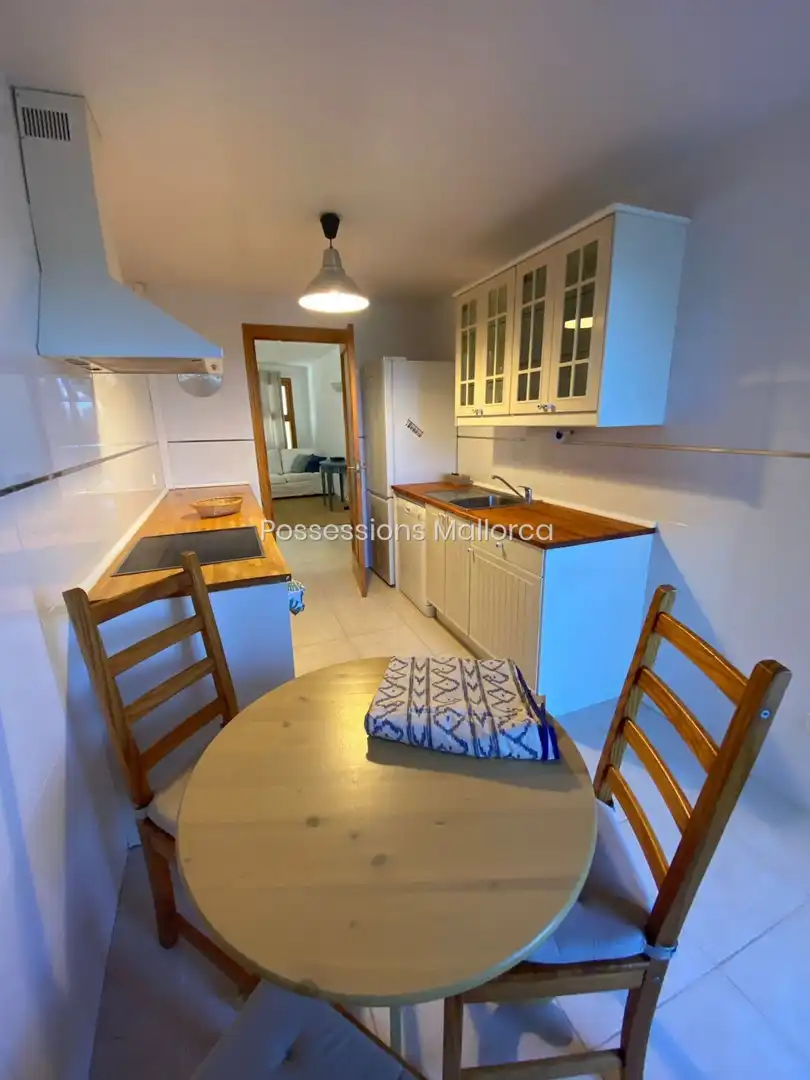 Cocina de Apartamento de alquiler en Algaida