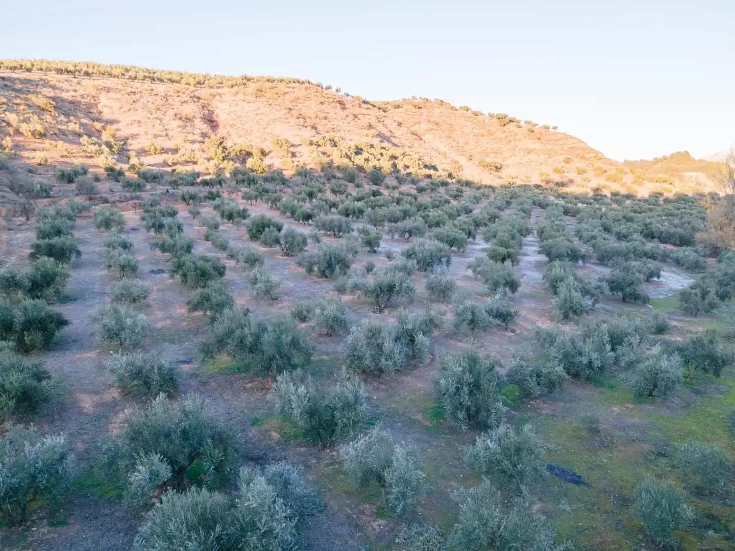 Terreno rustico in vendita a Calicasas, imagen 9