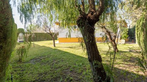 Photo 4 of Houses for sale in Ronda de Los Montes(cubi., 22, Albolote, Granada
