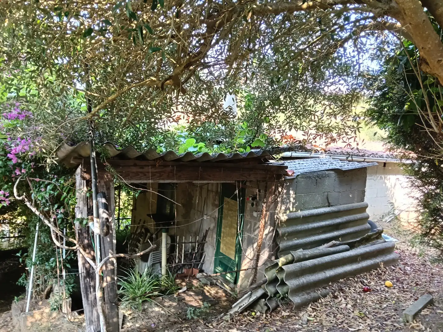 Maison avec jardin à vendre à Rúa Saavedra Meneses 87, imagen 7