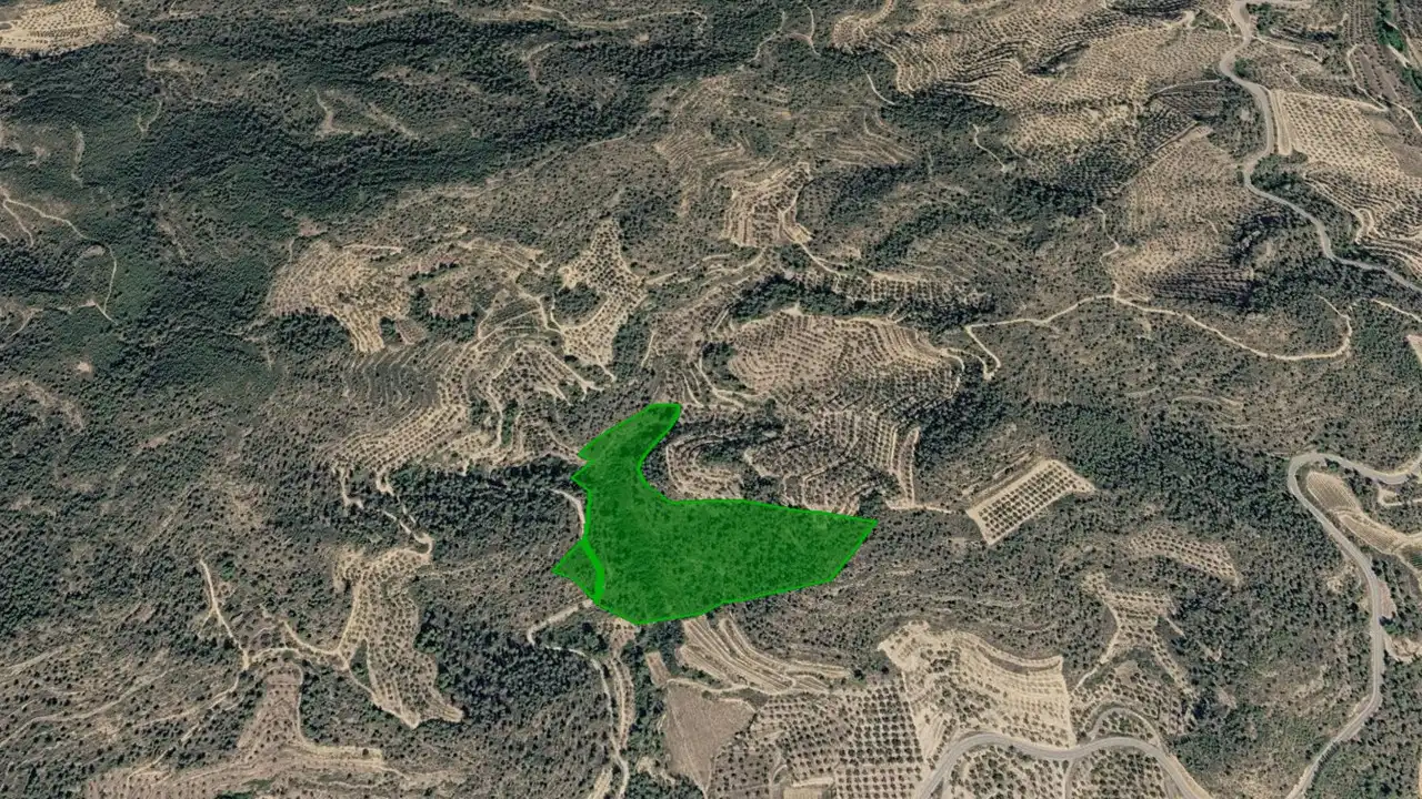 Rural land for sale in Pb Segrasos
