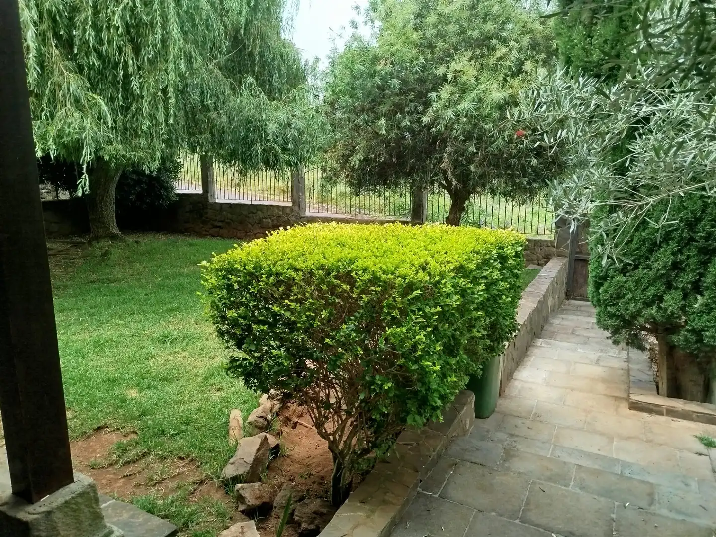 Jardín de Casa o chalet en venta en Tacoronte con Jardín privado, Terraza y Trastero