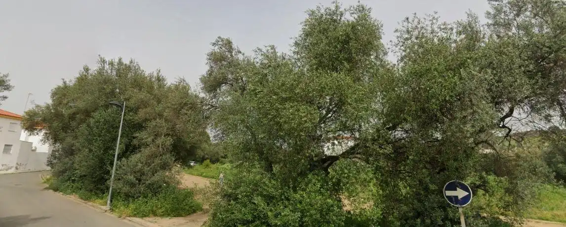 Residential zum Verkauf in Calañas
