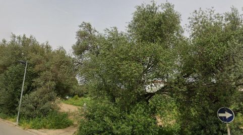 Foto 2 de Residencial en venta en Dr Miguel Marquez, 1, Calañas, Huelva