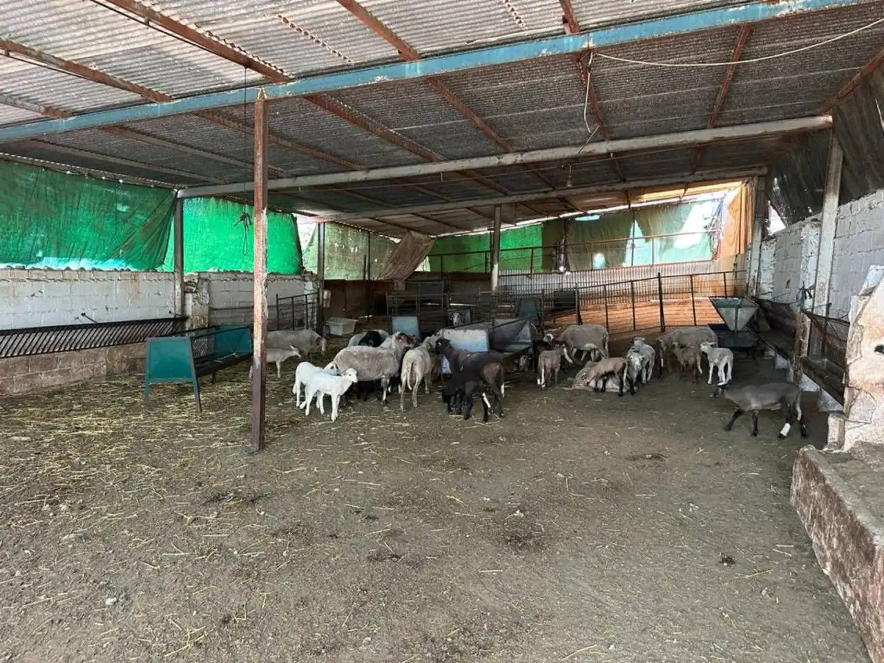 Terreny residencial en venda a Moraleda de Zafayona, imagen 4