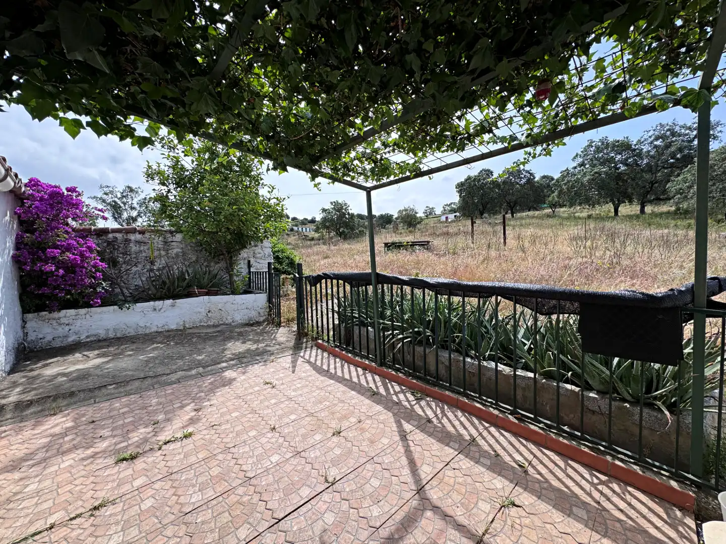 Terrace of Residential for sale in El Cerro de Andévalo